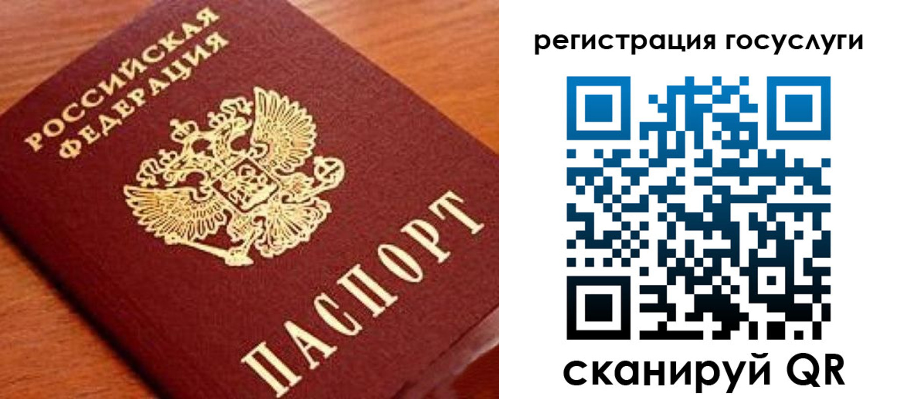 прописка иностранных граждан в Ингушетии